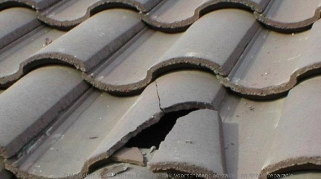 Lekkage Schuin Dak Voorschoten