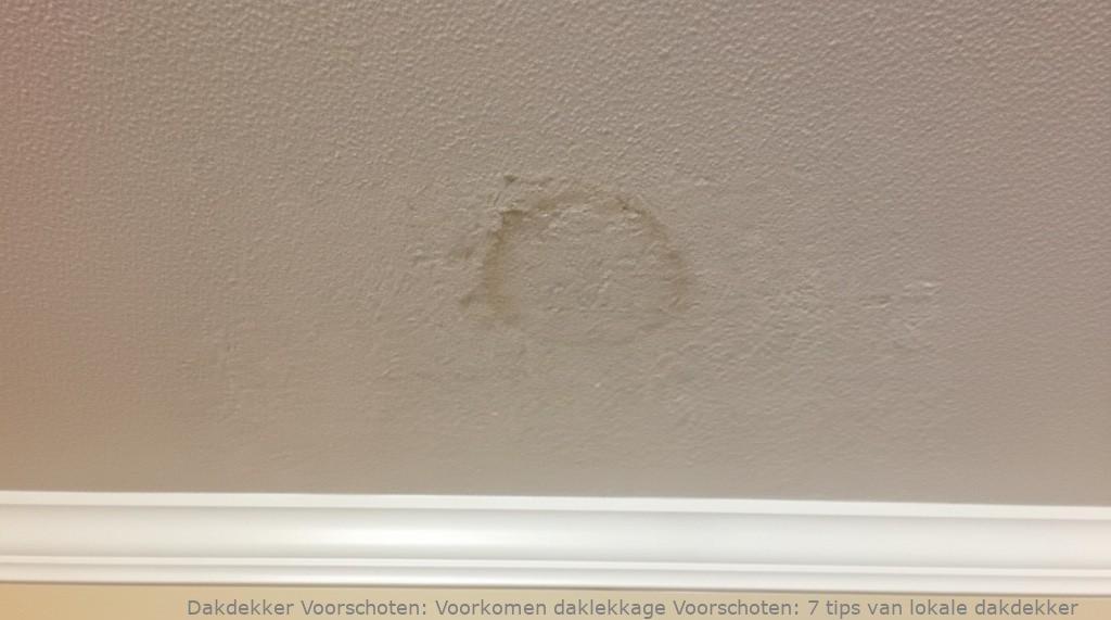 Voorkomen Daklekkage Voorschoten