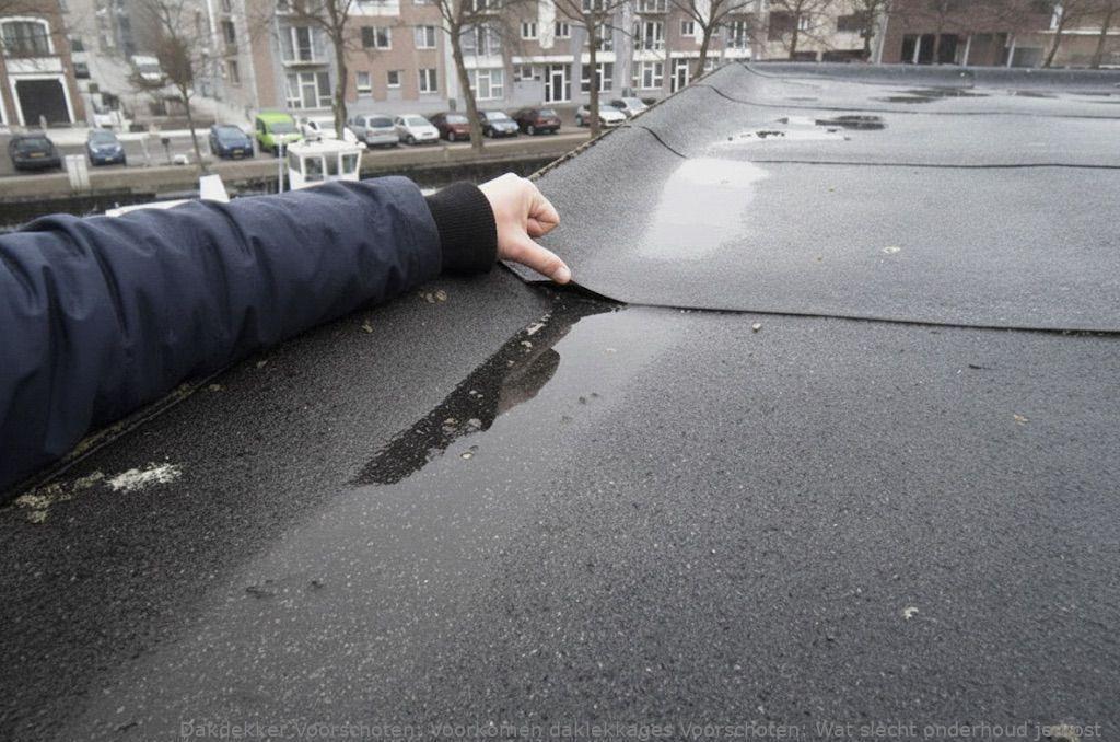 Voorkomen Daklekkages Voorschoten